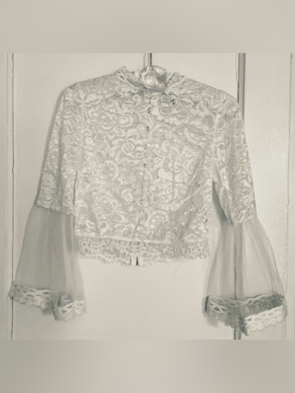 White Lace Sheer Bell Sleeves Crop Top
Blouse - Picture 5 of 14